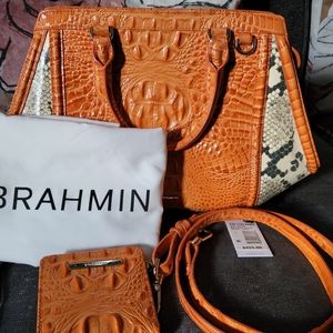 Brahmin Handbag